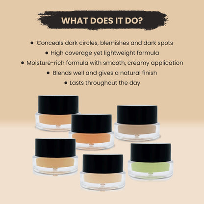 Professional Full Coverage Cream Concealer - 110  LIGHT